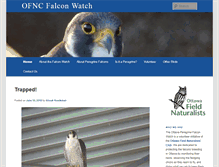 Tablet Screenshot of falconwatch.ca